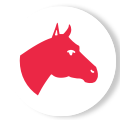Horse.png