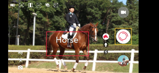 Horse_horizontal-_Photo_Default.png
