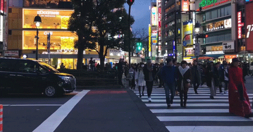 timelapse.gif