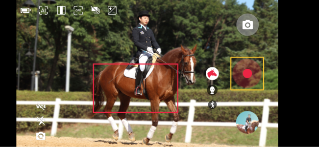 Horse_horizontal-_Video_Default.png